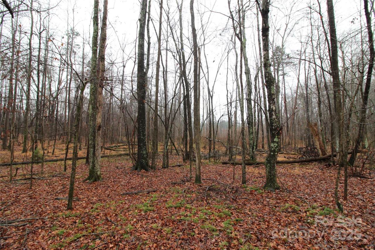 https://bt-photos.global.ssl.fastly.net/cmls/1280_boomver_1_4327811-1.jpg