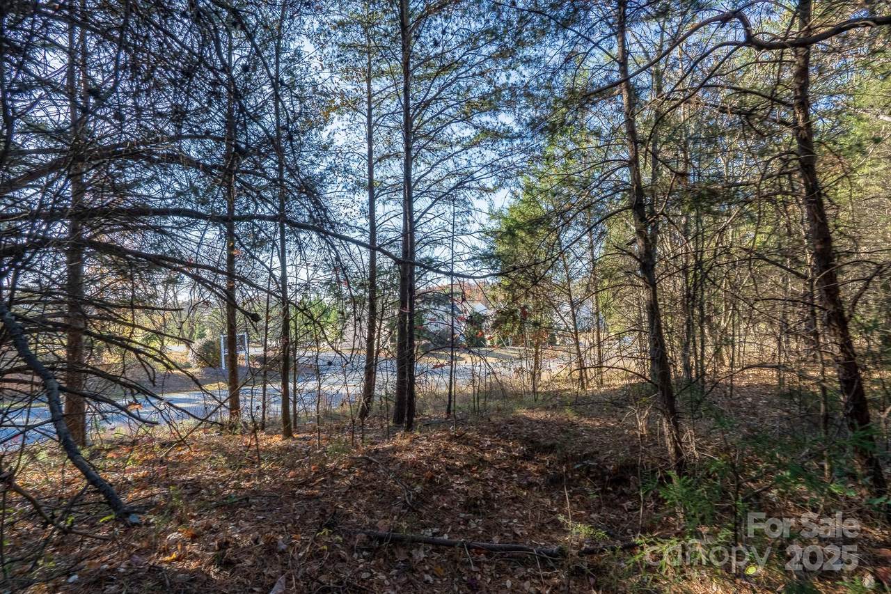 0 China Grove Highway - Photo 1