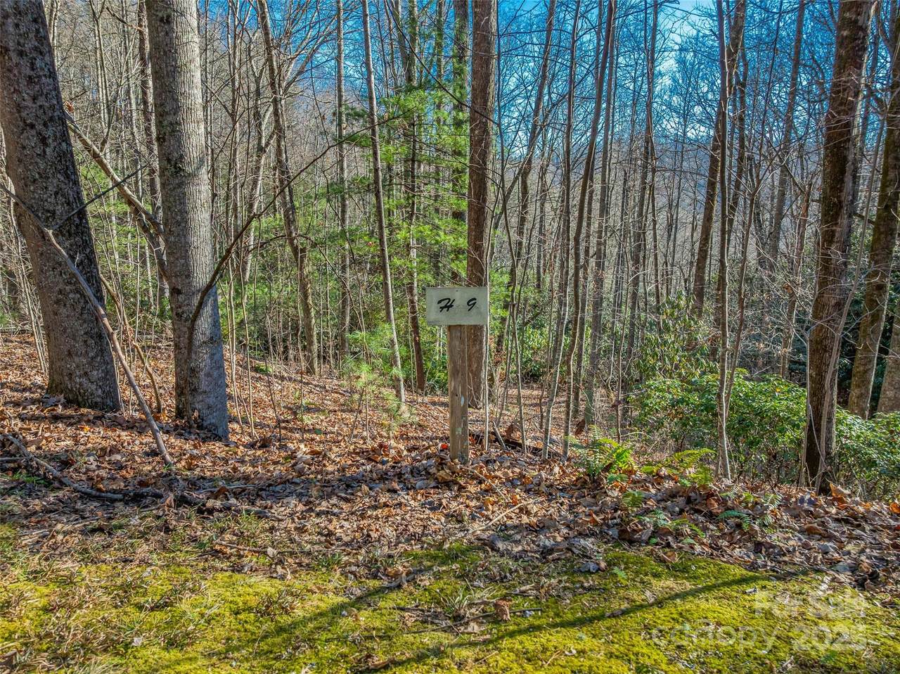 TBD Ladys Fern Trail - Photo 1