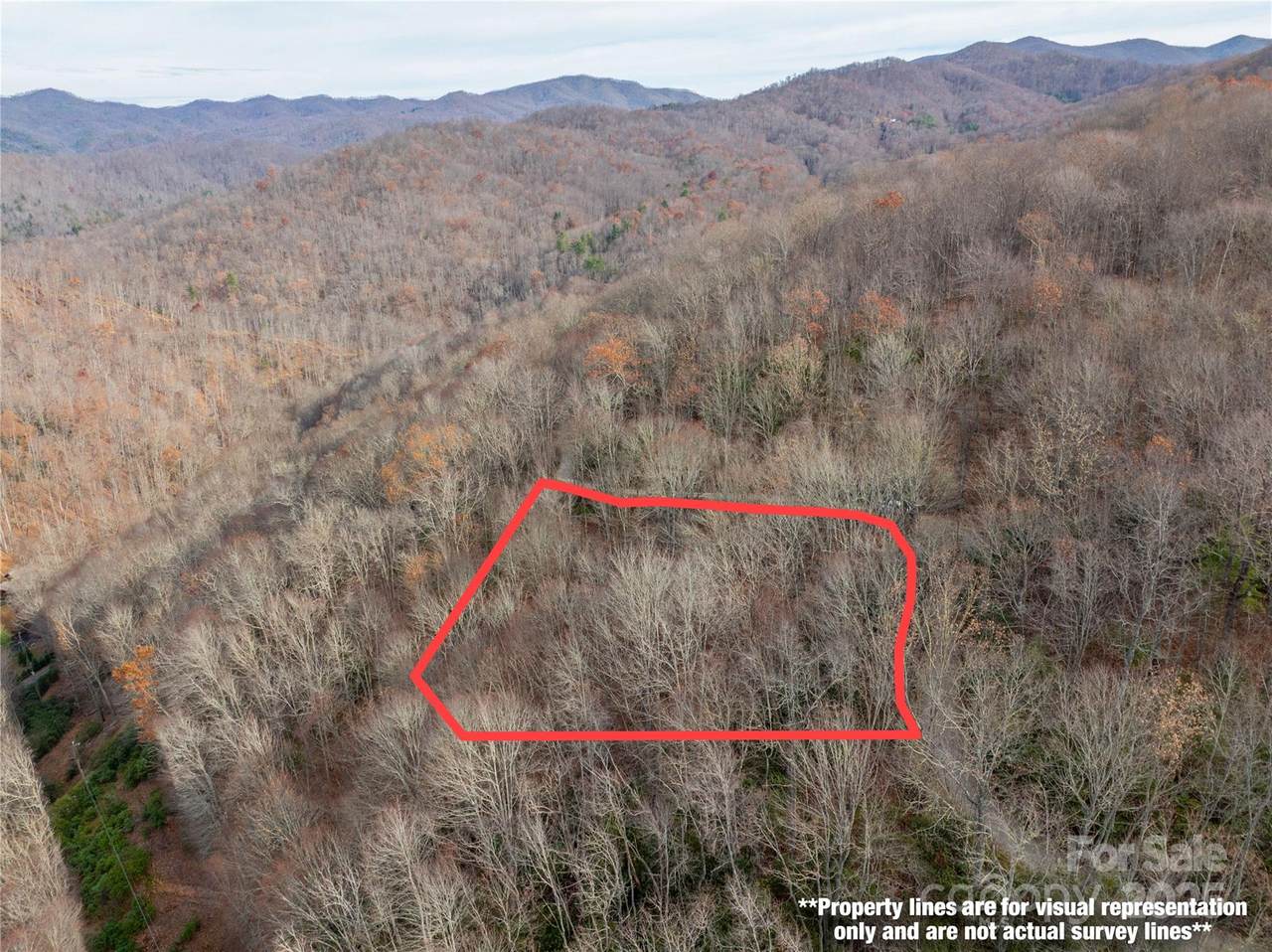 Lot 5 Mt Tabor Road - Photo 1