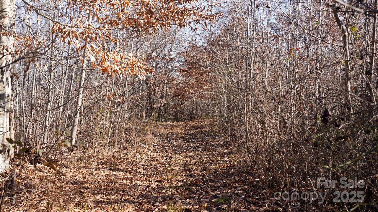 https://bt-photos.global.ssl.fastly.net/cmls/1280_boomver_1_4328827-1.jpg