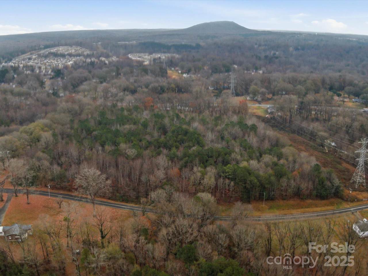 1305 Lower Dallas Highway - Photo 1