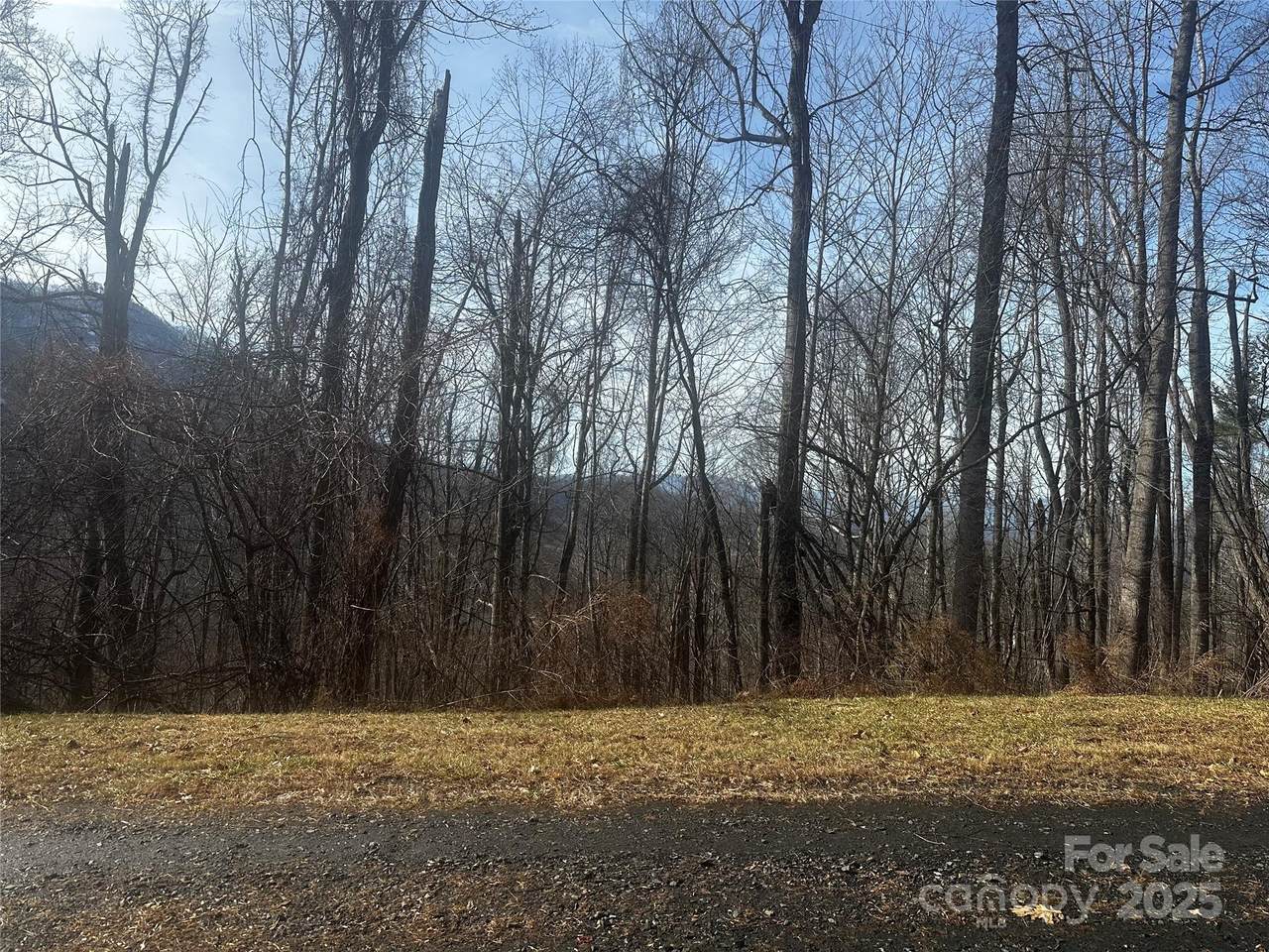 0 Wild Turkey Road - Photo 1