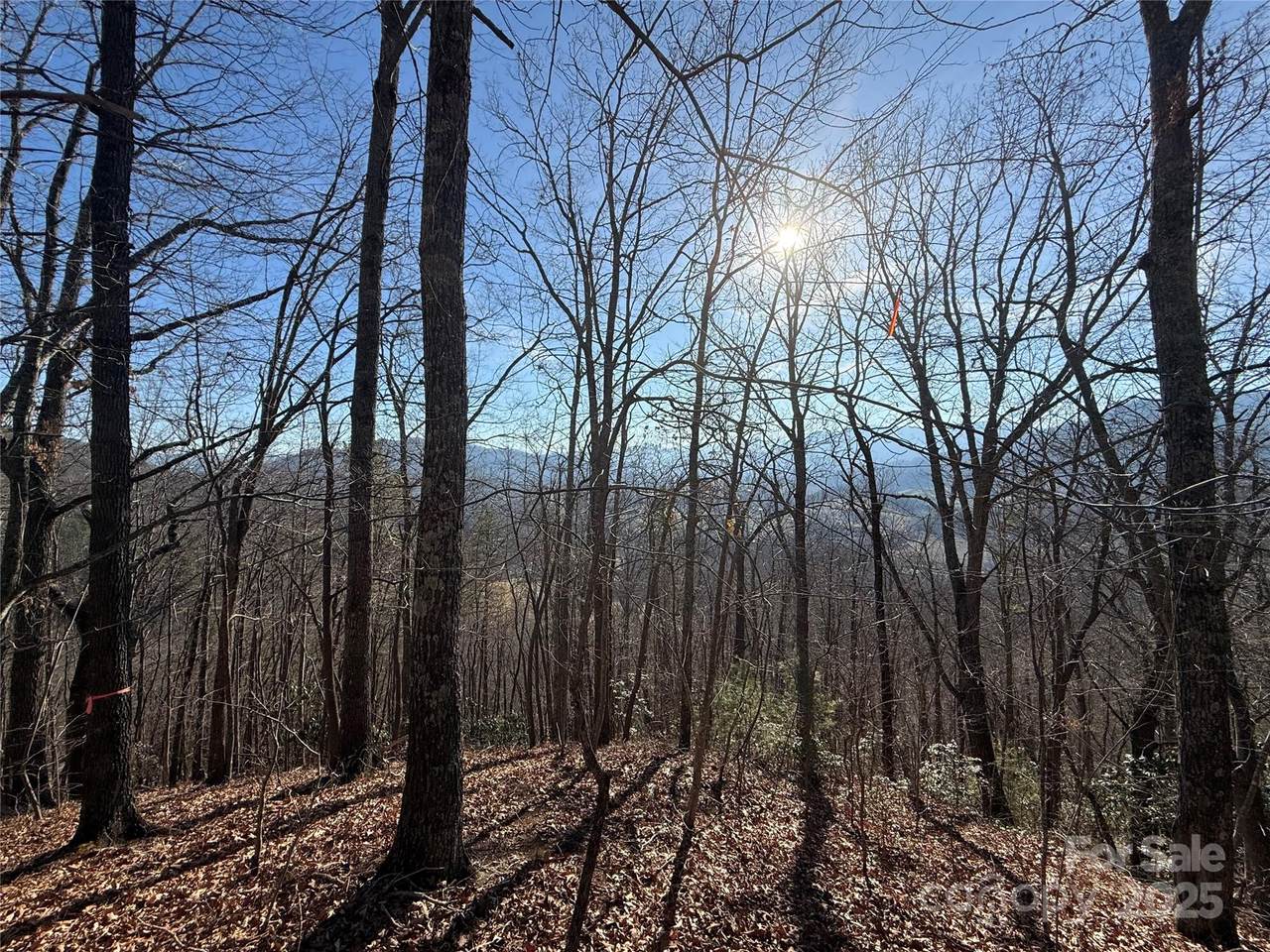 Lot 12 Bernies Trail - Photo 1