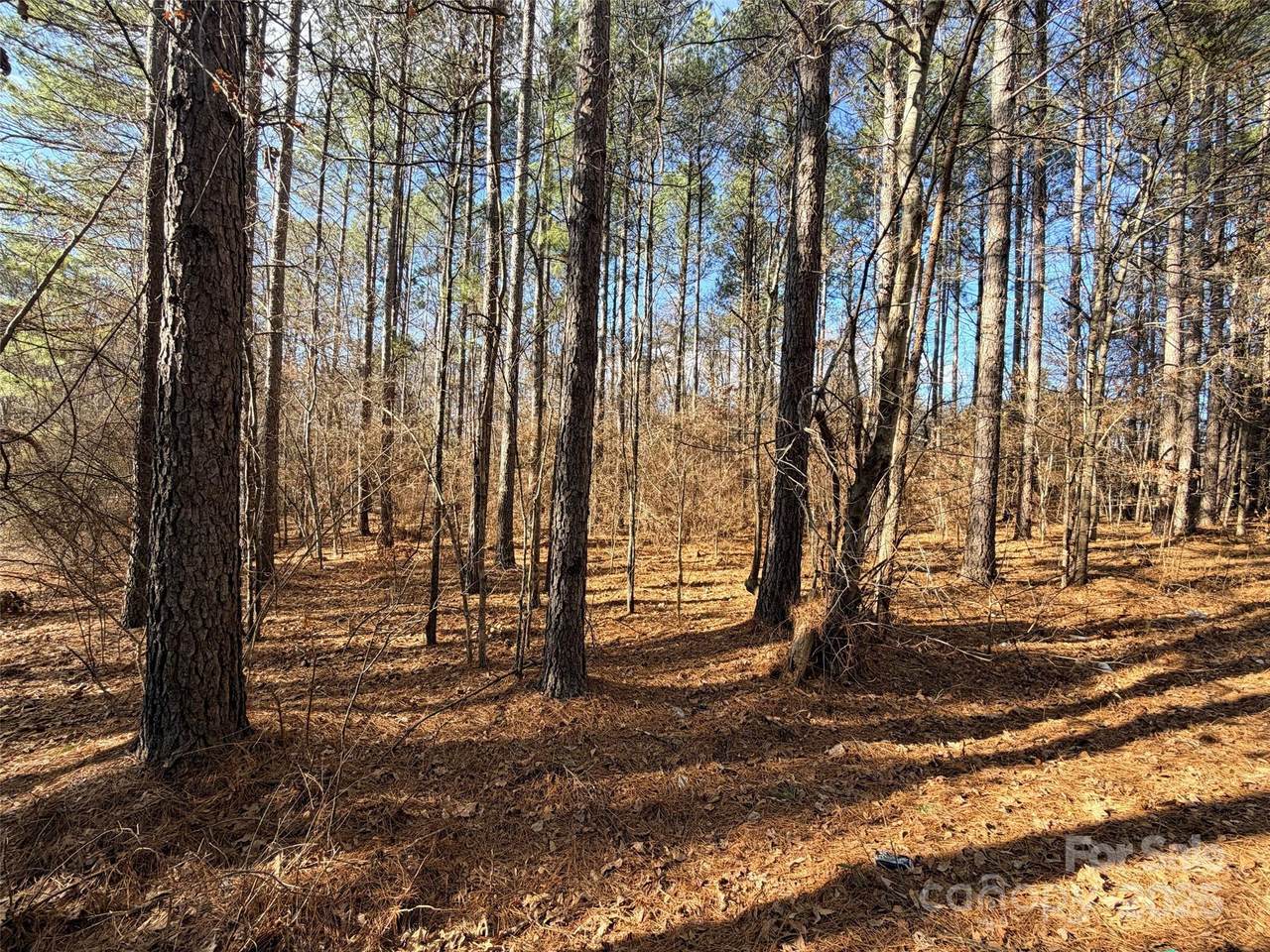 https://bt-photos.global.ssl.fastly.net/cmls/1280_boomver_1_4332468-1.jpg