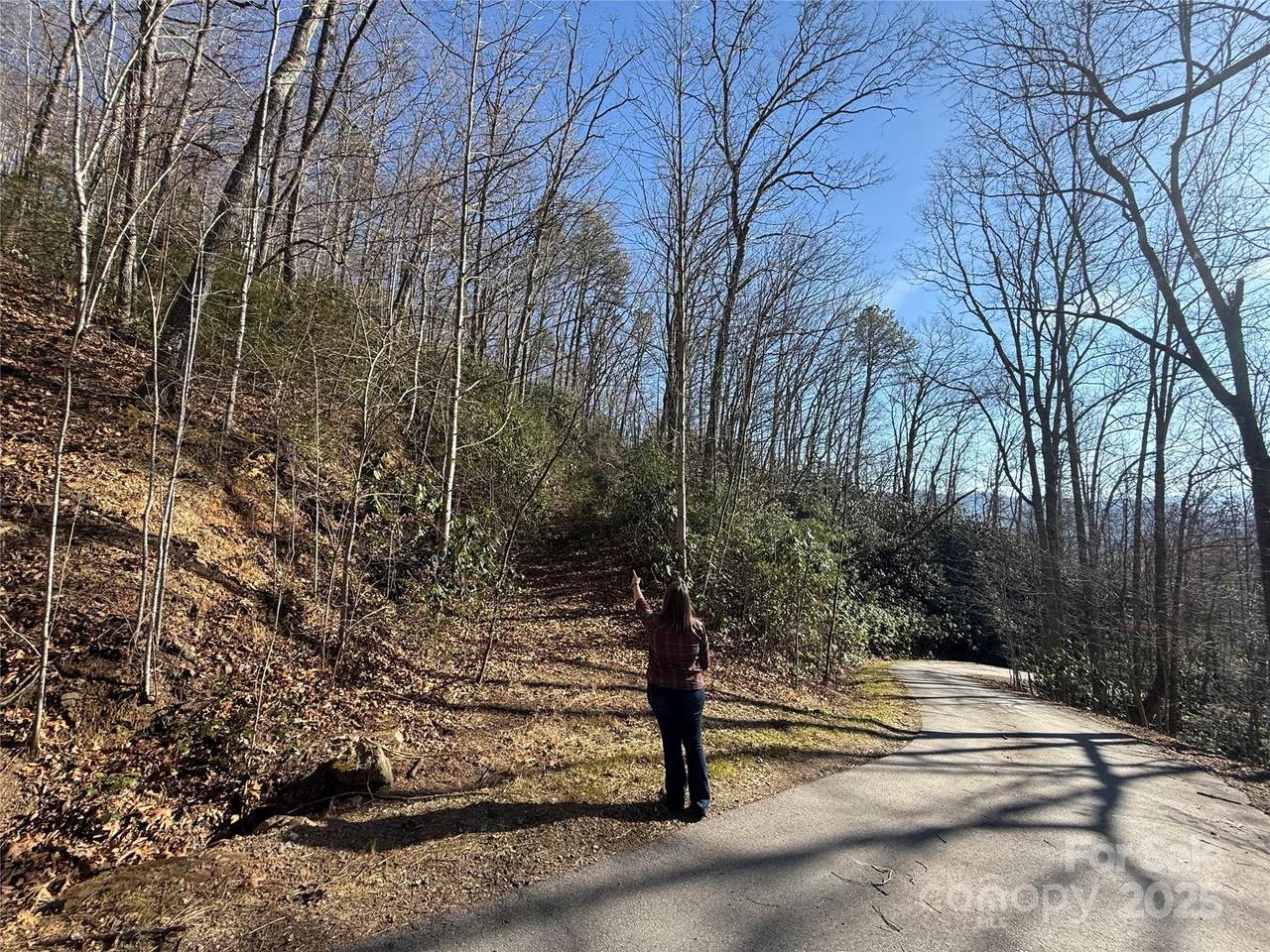 Lot 27 Bernies Trail - Photo 1