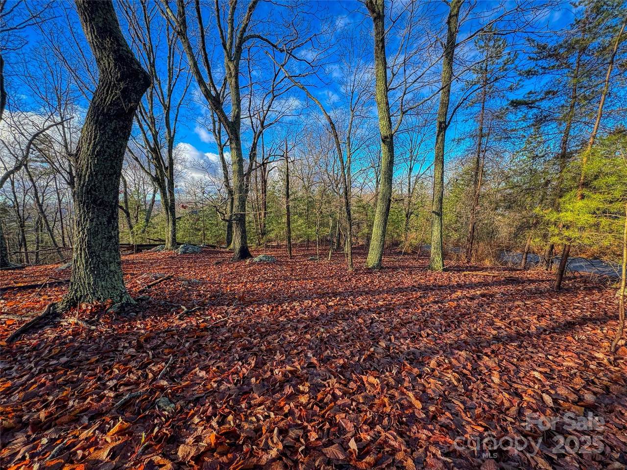 338 Sierra Trace Road - Photo 1
