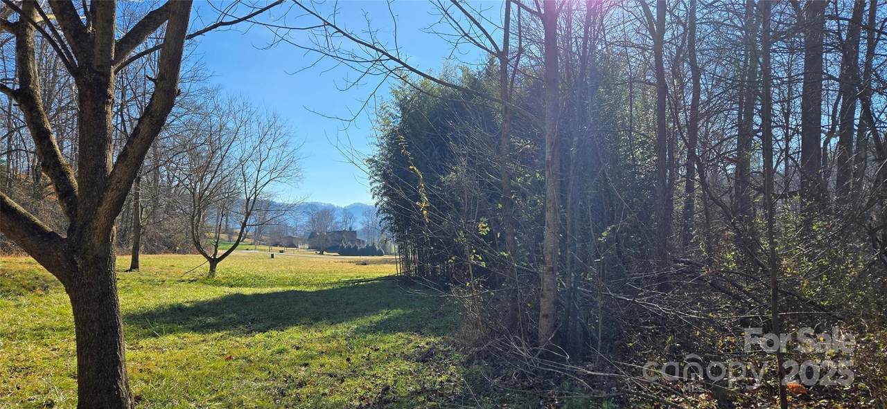 Lot 1 Turtle Rock Lane - Photo 1