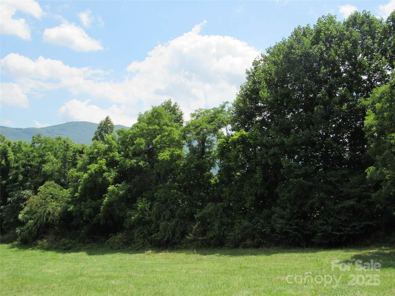Lt#2 Mystic View Lane - Photo 1