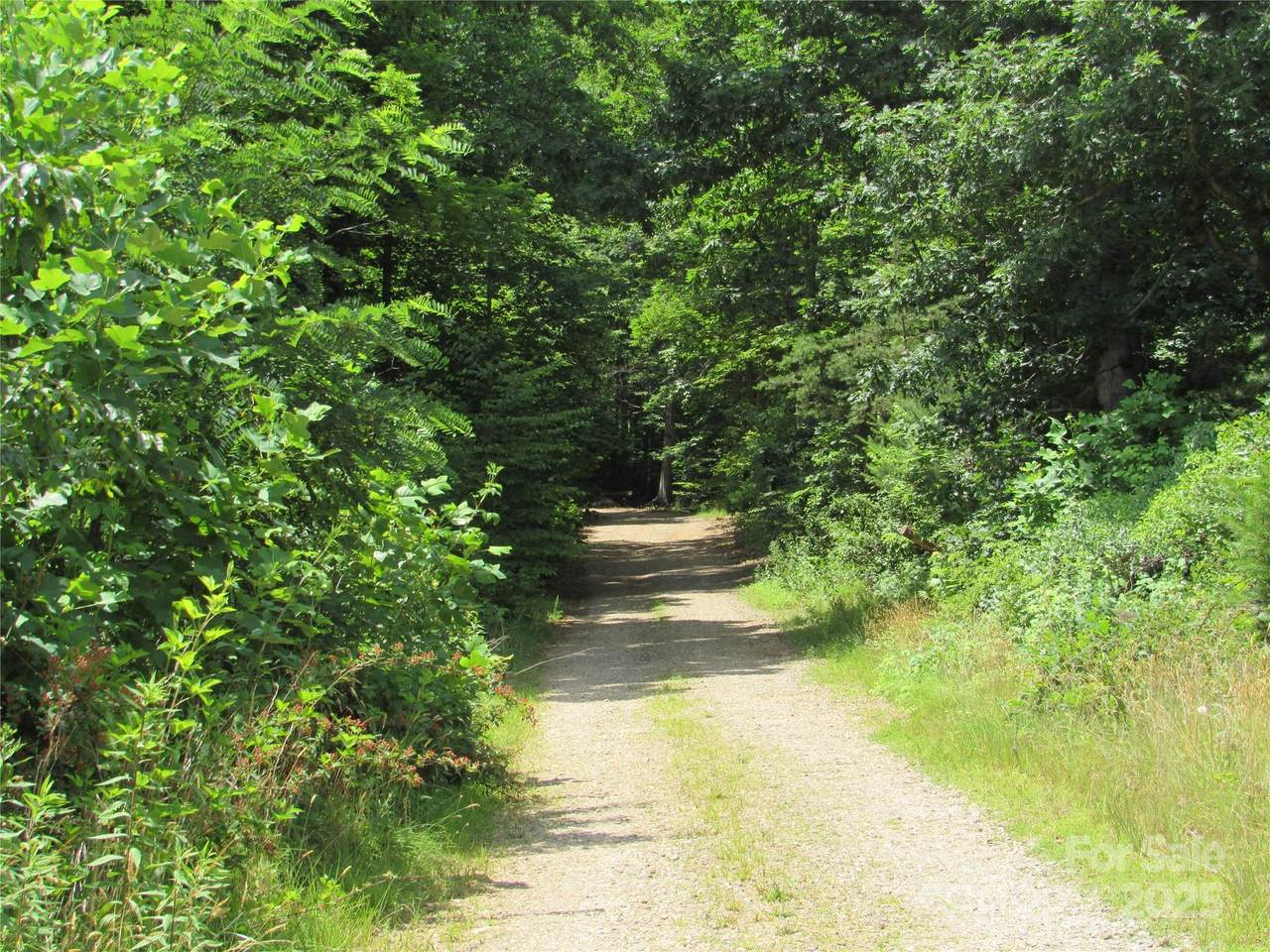 99999 Owen Valley Trail - Photo 1