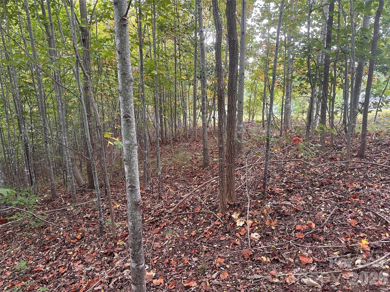 311 Scenic Vista Drive - Photo 1