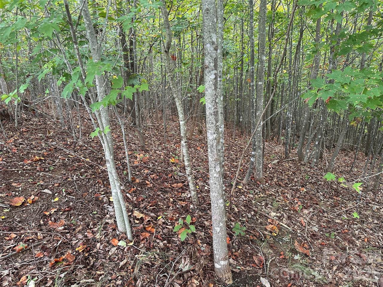 https://bt-photos.global.ssl.fastly.net/cmls/1280_boomver_1_4333626-1.jpg