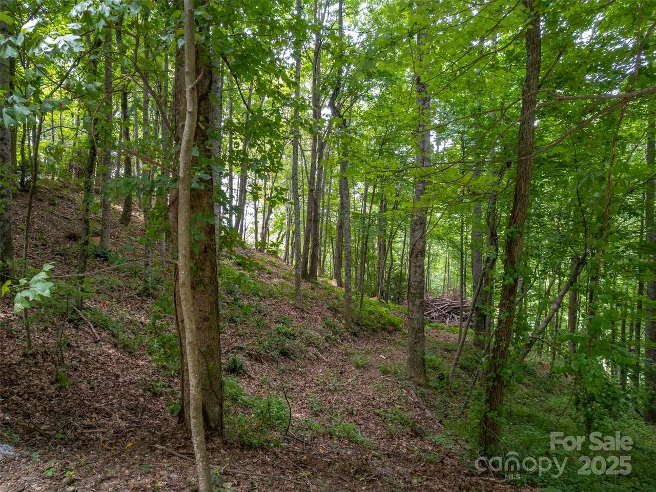 https://bt-photos.global.ssl.fastly.net/cmls/1280_boomver_1_4334240-1.jpg