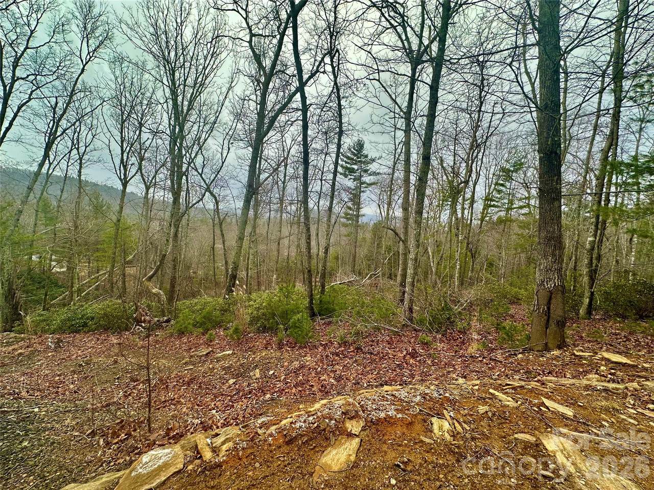 000 Orchard View Trail - Photo 1