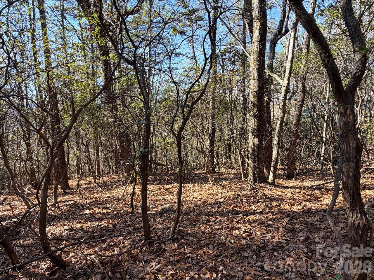 https://bt-photos.global.ssl.fastly.net/cmls/1280_boomver_1_4335192-1.jpg