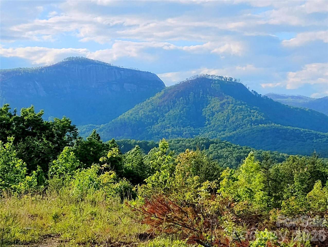 0 Table Rock Road - Photo 1