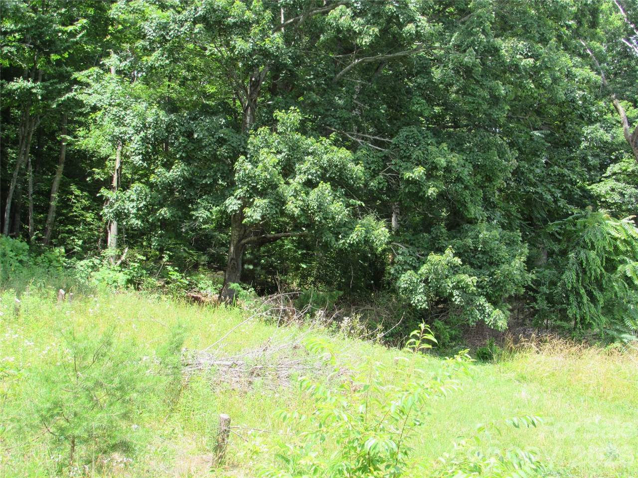 #6 Mystic View Lane - Photo 1