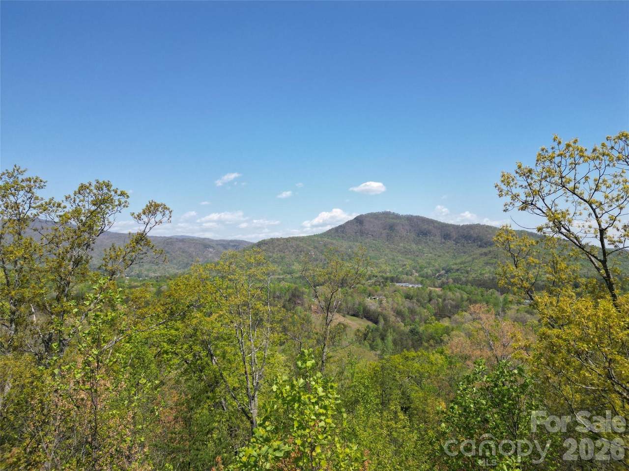 Lot 4 Hibiscus Court - Photo 1
