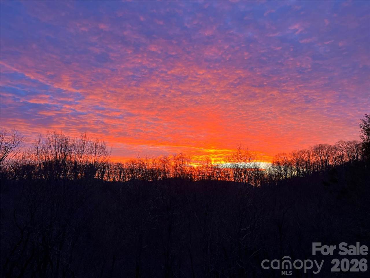 https://bt-photos.global.ssl.fastly.net/cmls/1280_boomver_1_4337307-1.jpg
