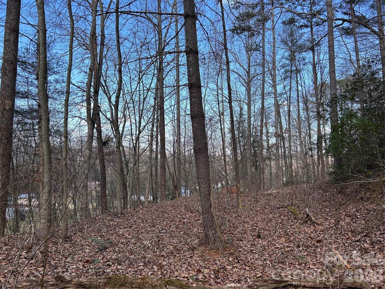 301 Burke Street - Photo 1