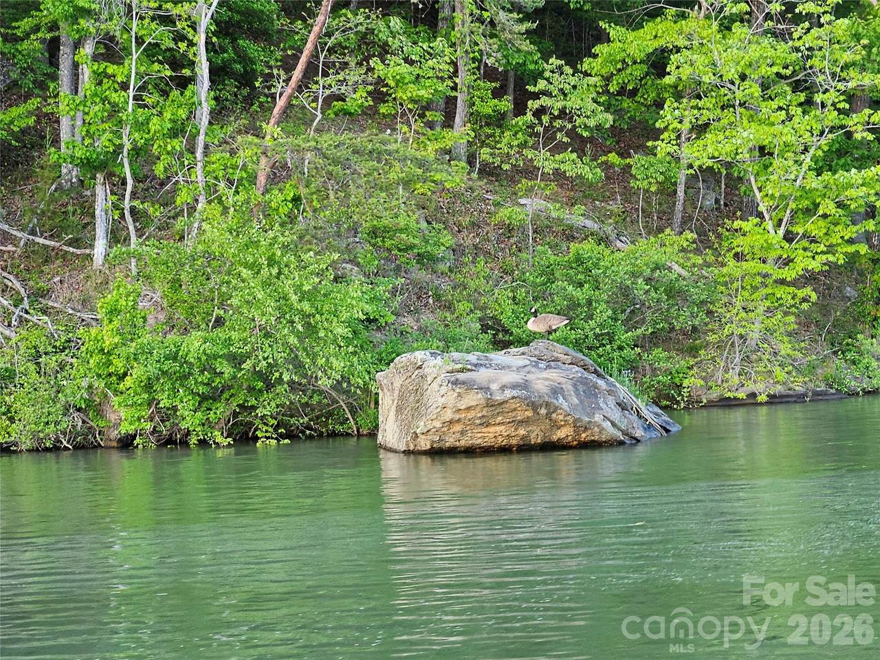 https://bt-photos.global.ssl.fastly.net/cmls/1280_boomver_1_4337467-1.jpg