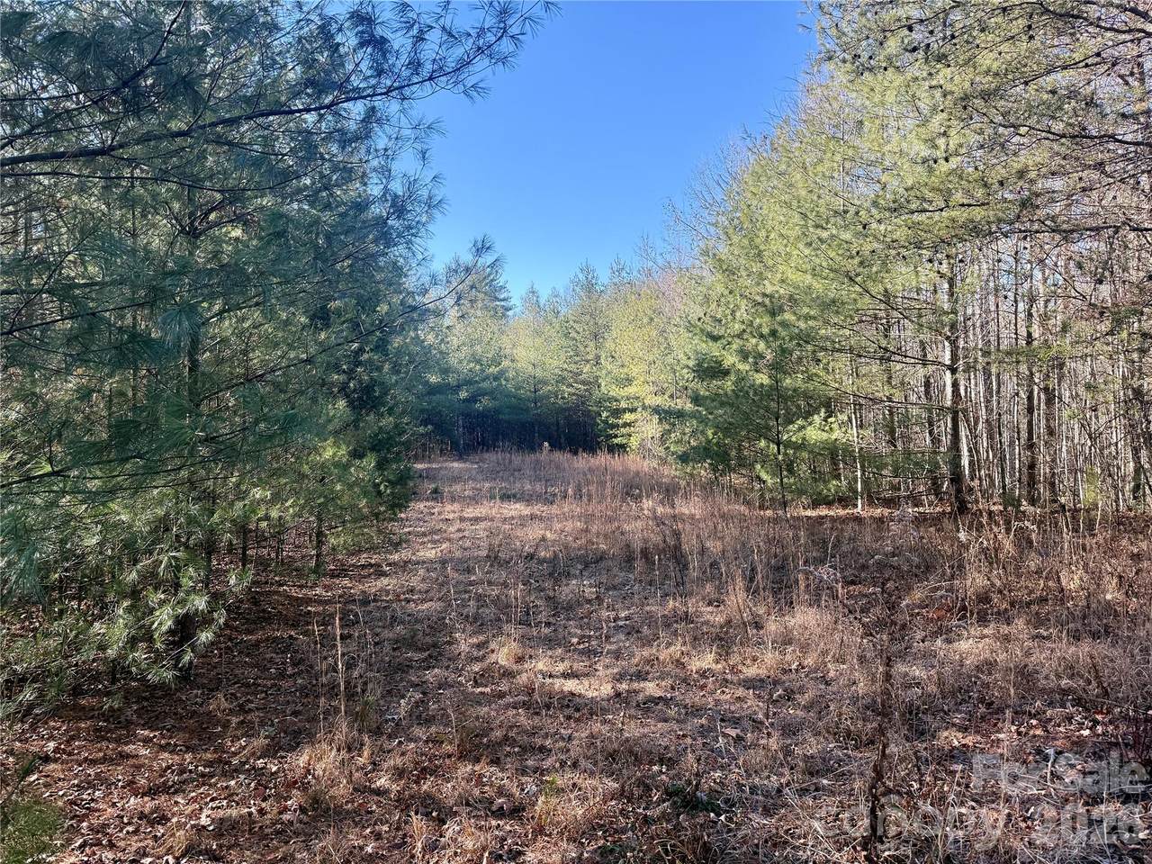 2095 Hitching Post Trail - Photo 1