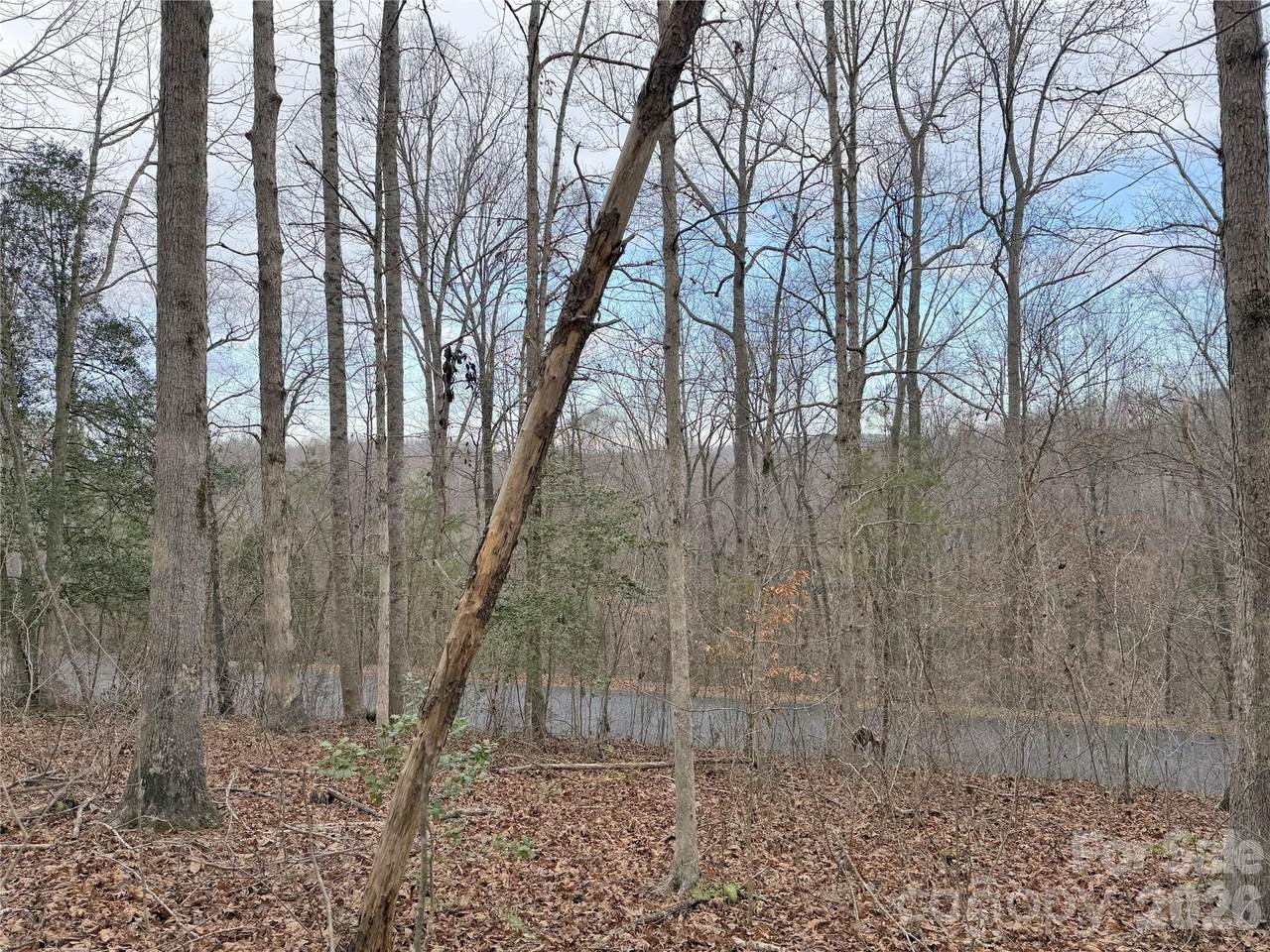 0000 Rambling Creek Drive - Photo 1