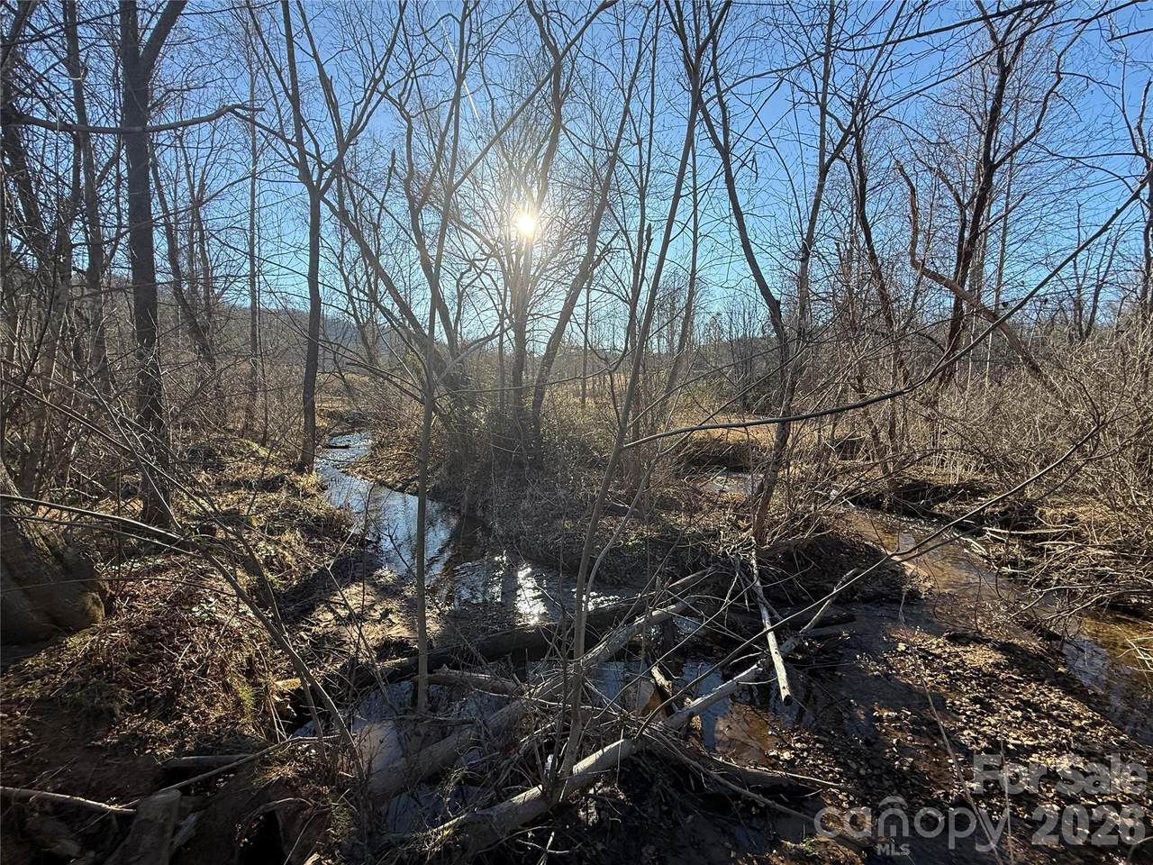 000 Old Fort Sugar Hill Road - Photo 1