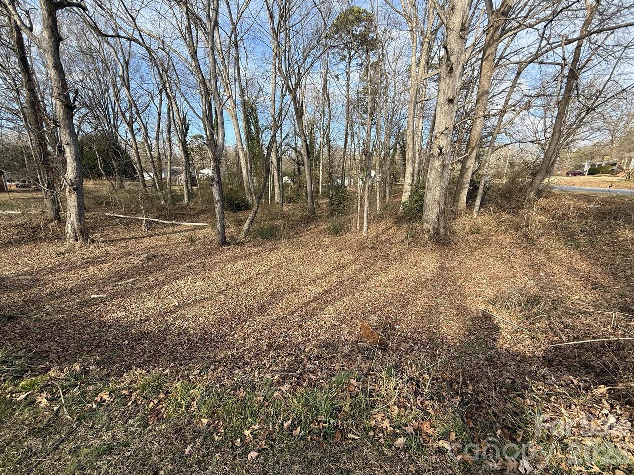 Lot 10&11 Buffalo Shoals Road - Photo 1