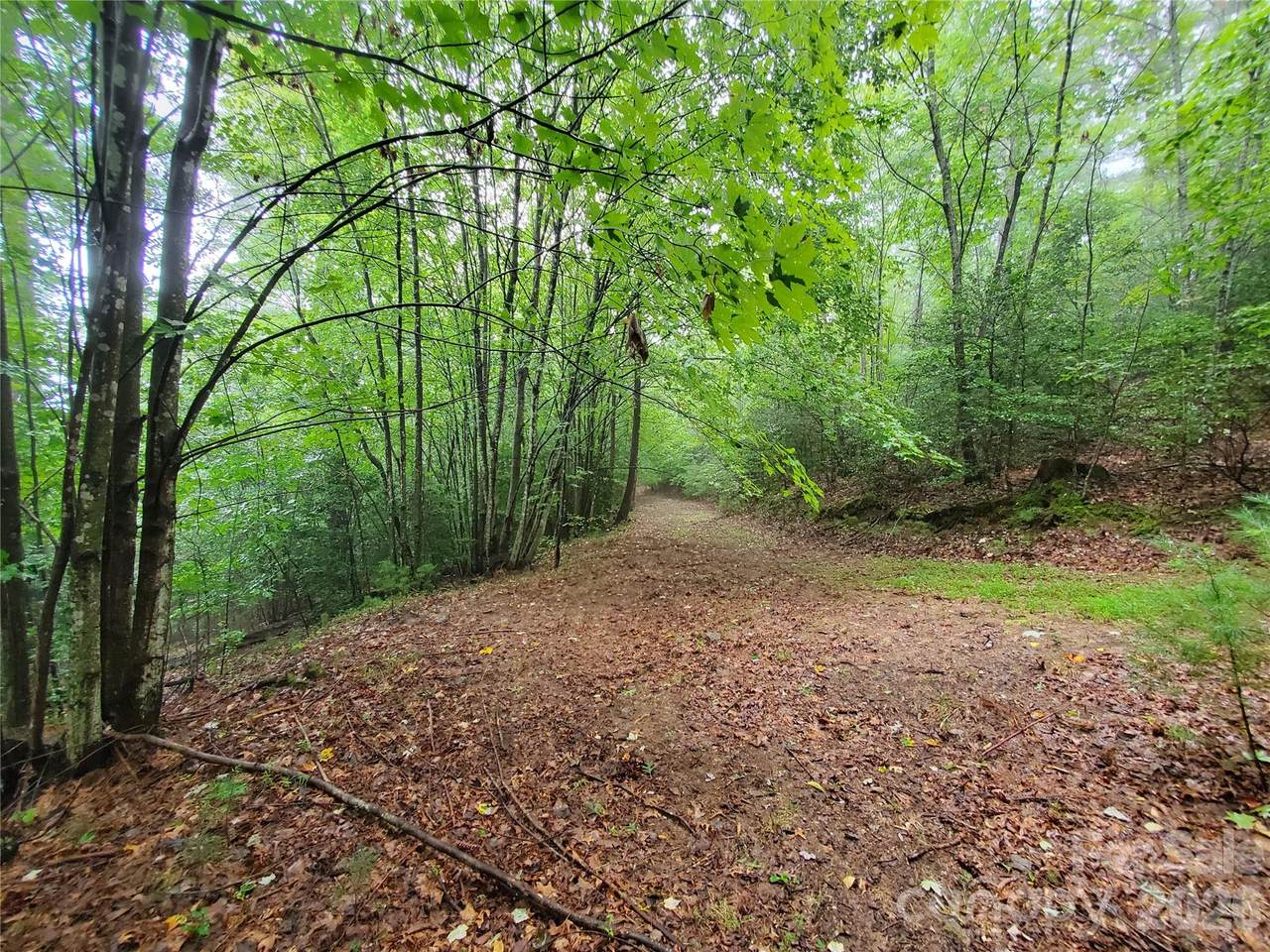 TBD Taylorsville Road - Photo 1