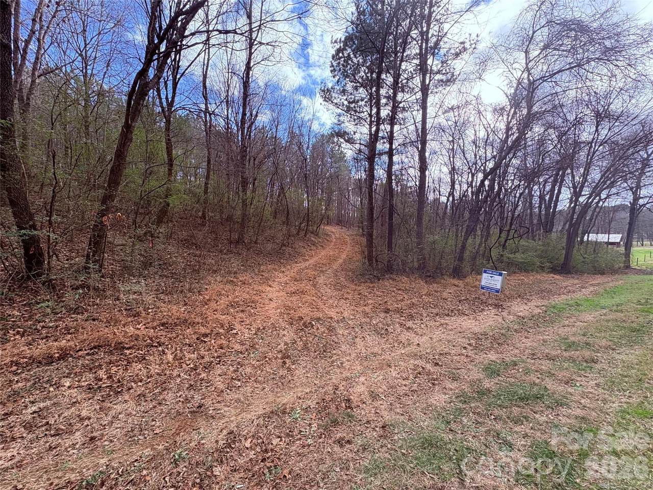 000 Vacant Nc 138 Highway - Photo 1
