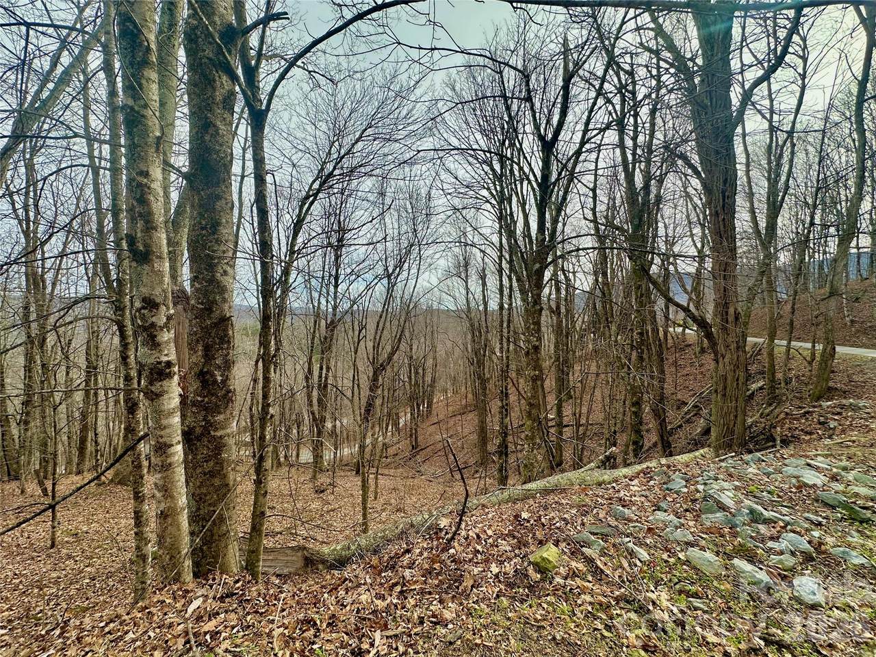 TBD Alpine Drive - Photo 1