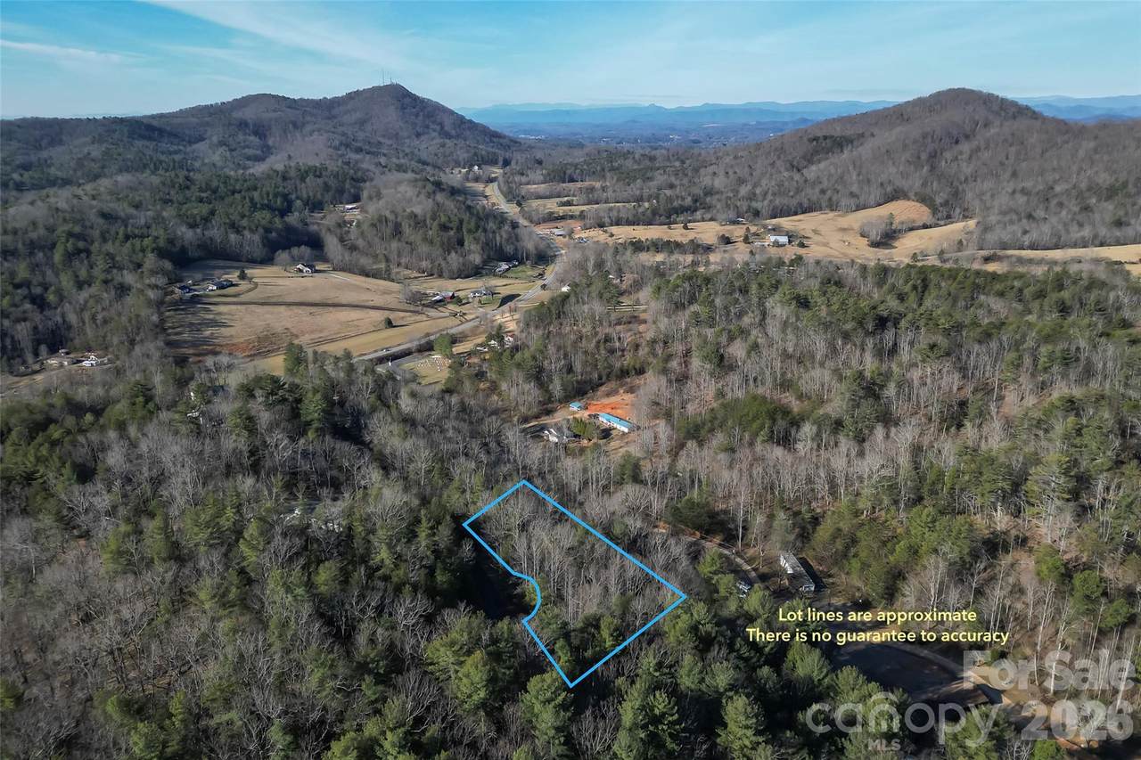 3124 Mountain Laurel Drive - Photo 1