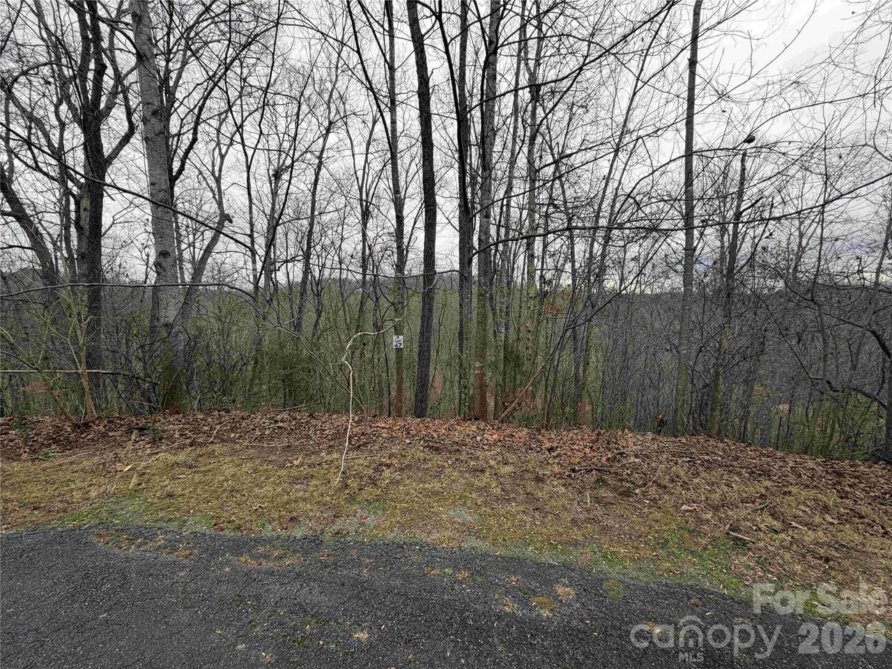 116 Commanche Court - Photo 1