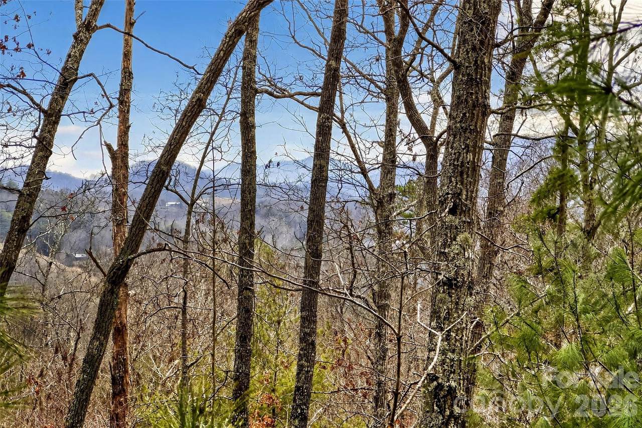 149 Turkey Trot Trail - Photo 1