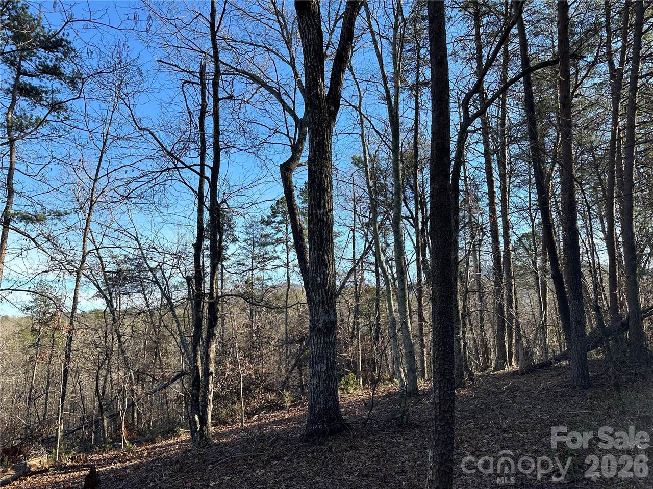 00 Hawkins Lane - Photo 1