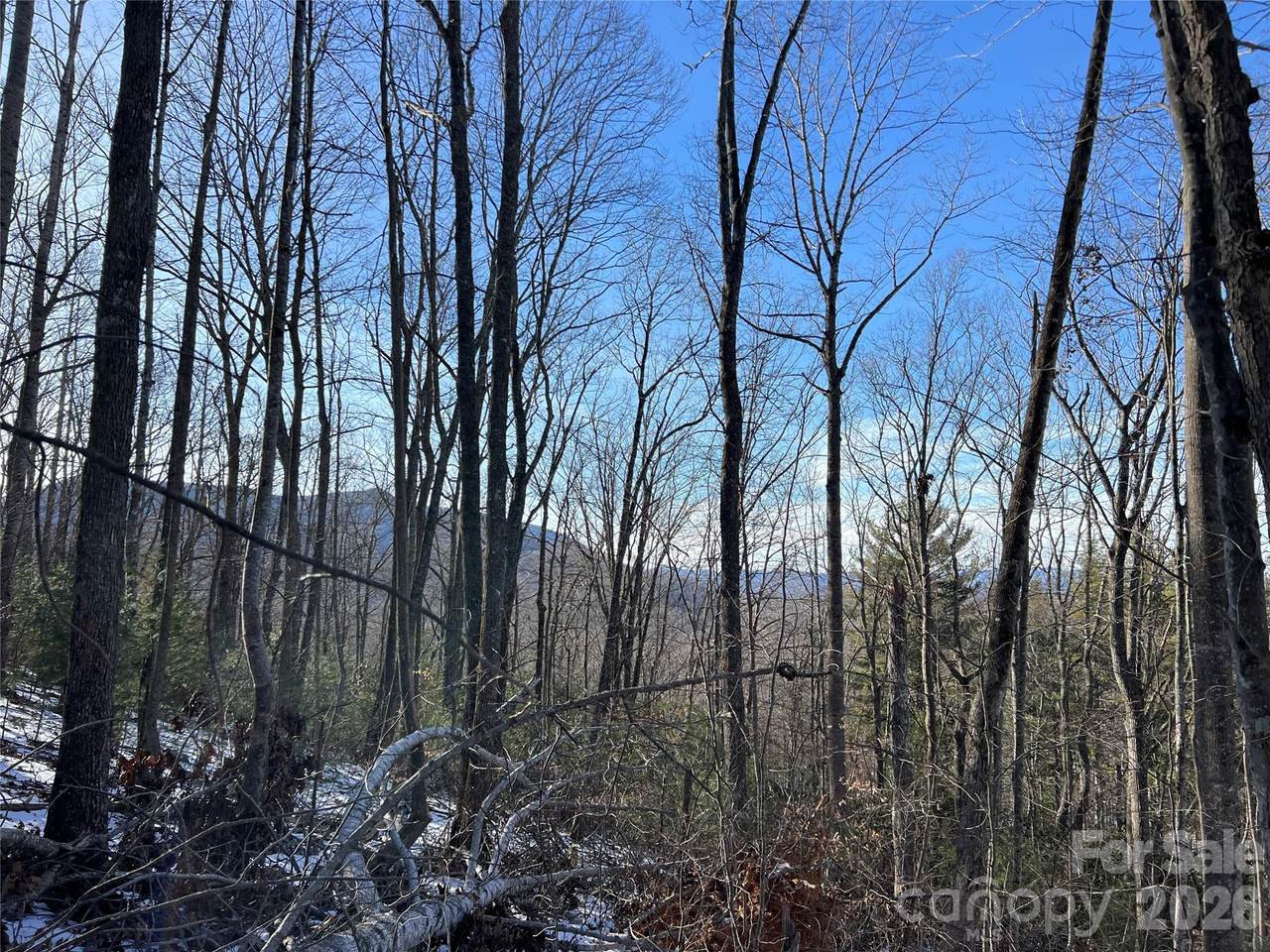 TBD (Lot 8) Woodland Ridge - Photo 1