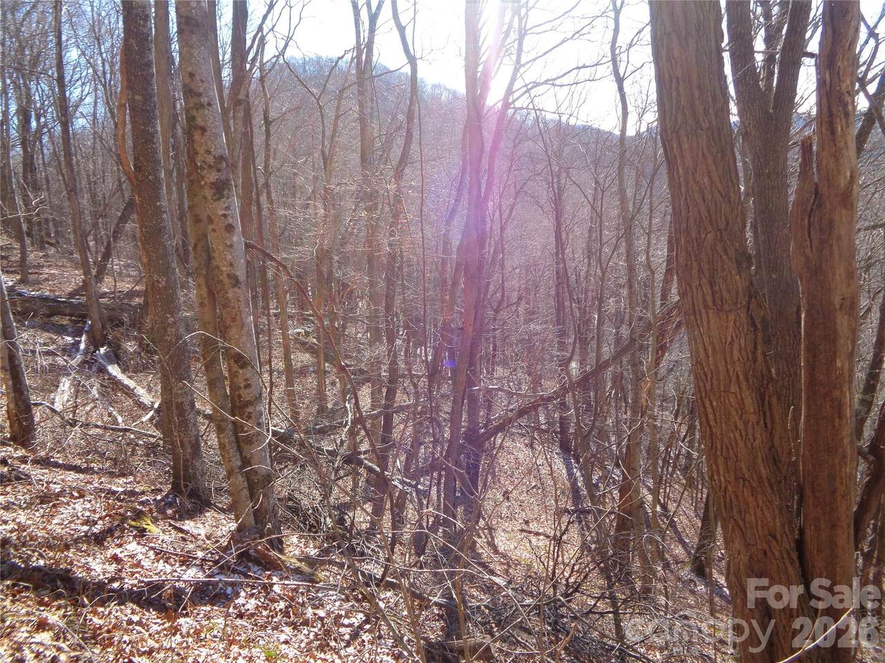 00 Listening Cove - Photo 1