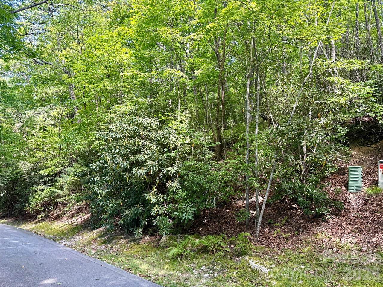 115 Black Oak Drive - Photo 1