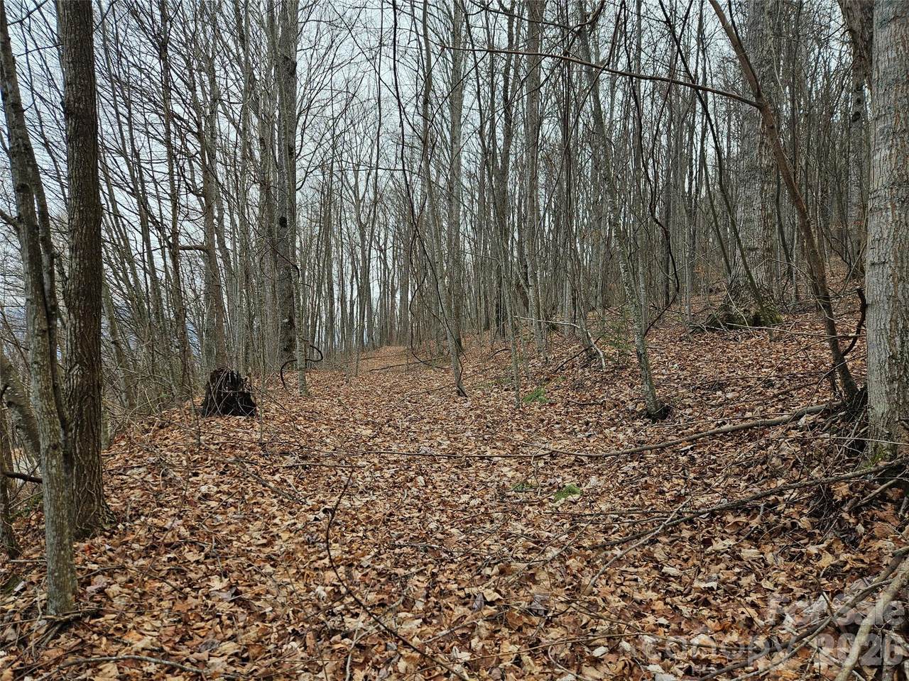 000 Slippery Rock Lane - Photo 1