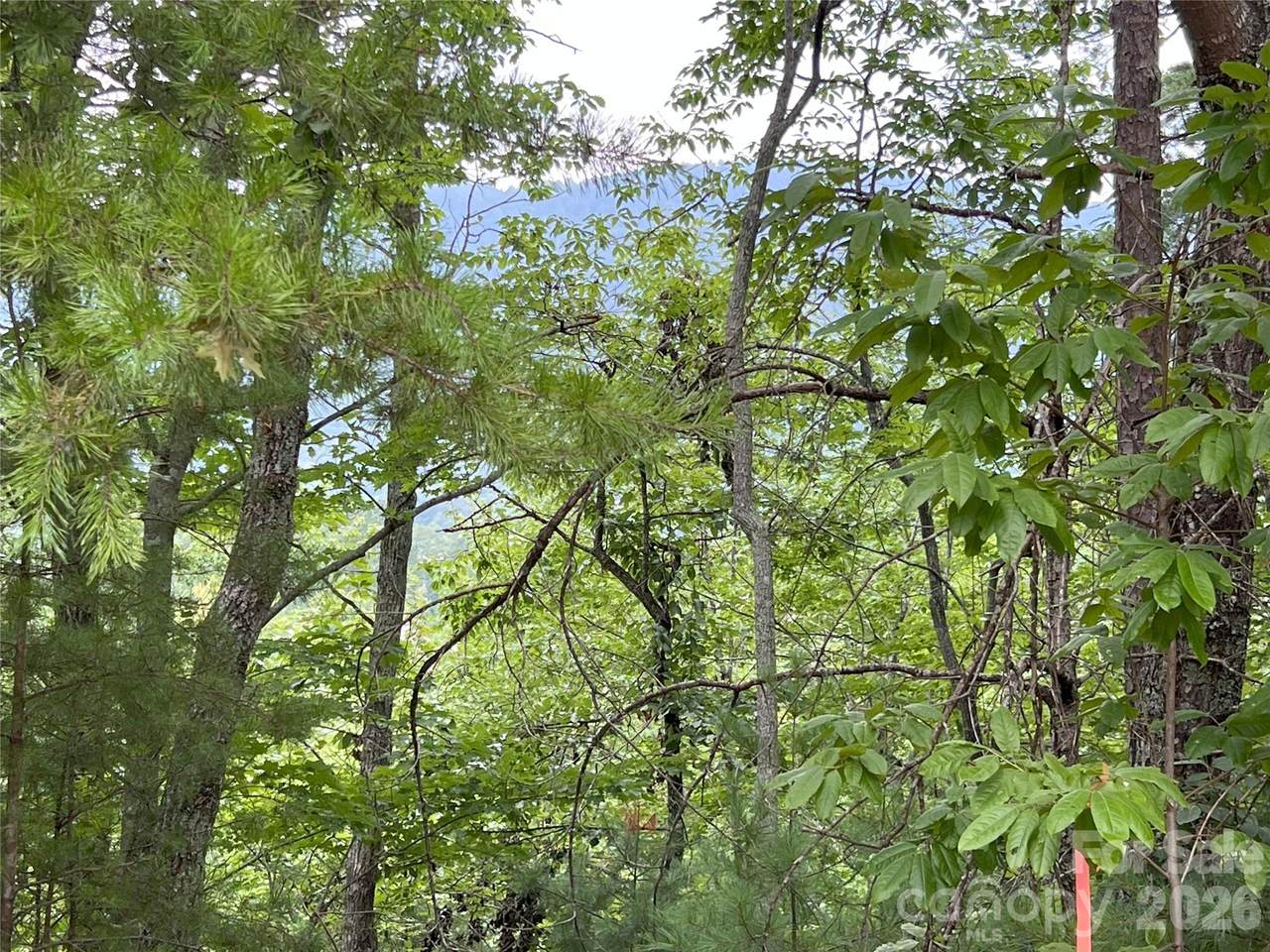 https://bt-photos.global.ssl.fastly.net/cmls/1280_boomver_1_4343593-1.jpg