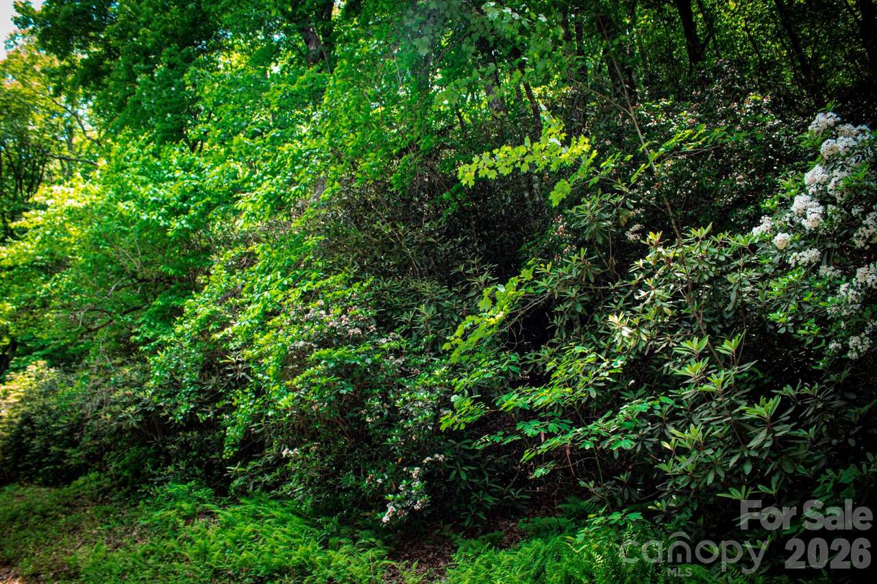 https://bt-photos.global.ssl.fastly.net/cmls/1280_boomver_1_4343697-1.jpg