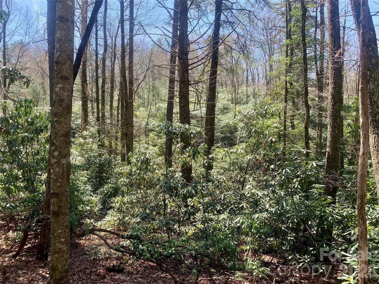 Lot 20A Indian Lake Road - Photo 1