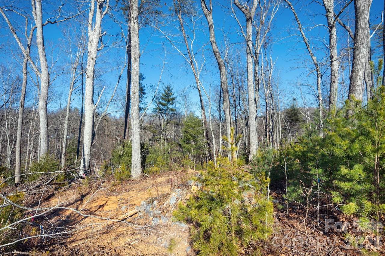 136 Riverbend Forest Drive - Photo 1