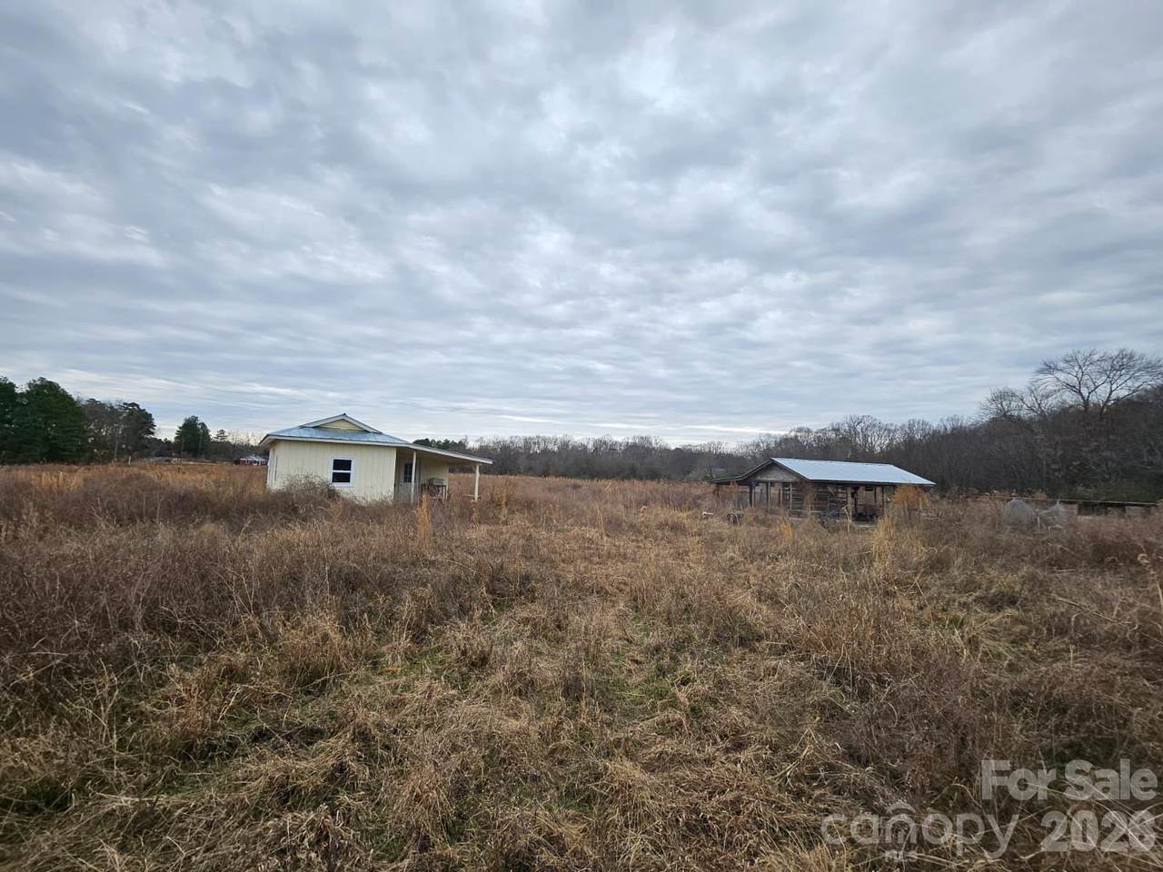 3420 Lanesboro Road - Photo 1