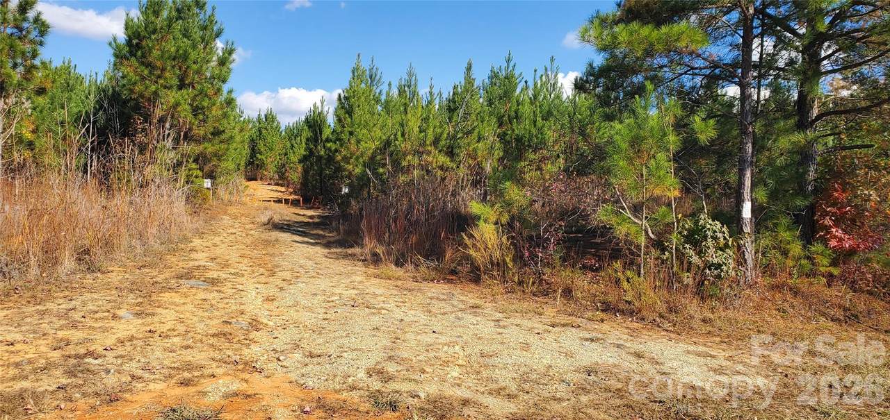 420 Tuckertown Road - Photo 1