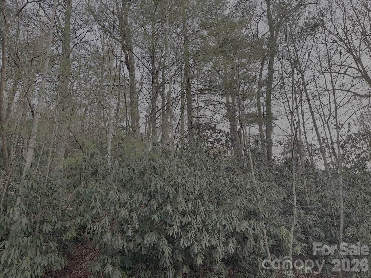 742 Zelda Court - Photo 1