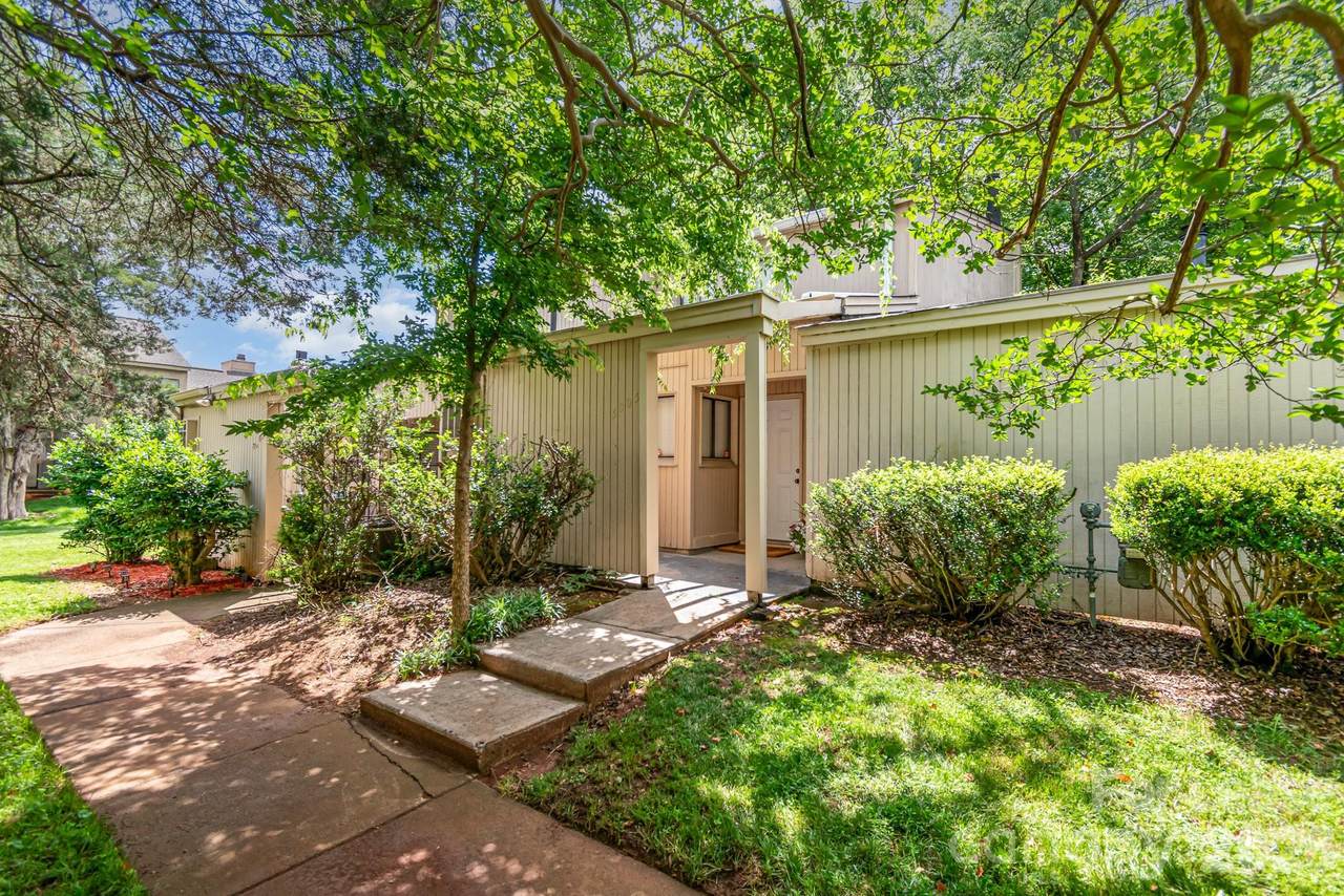 8005 Horse Chestnut Lane - Photo 1