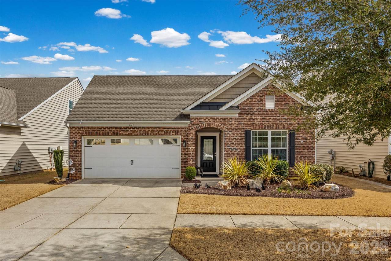 421 Brier Knob Drive - Photo 1