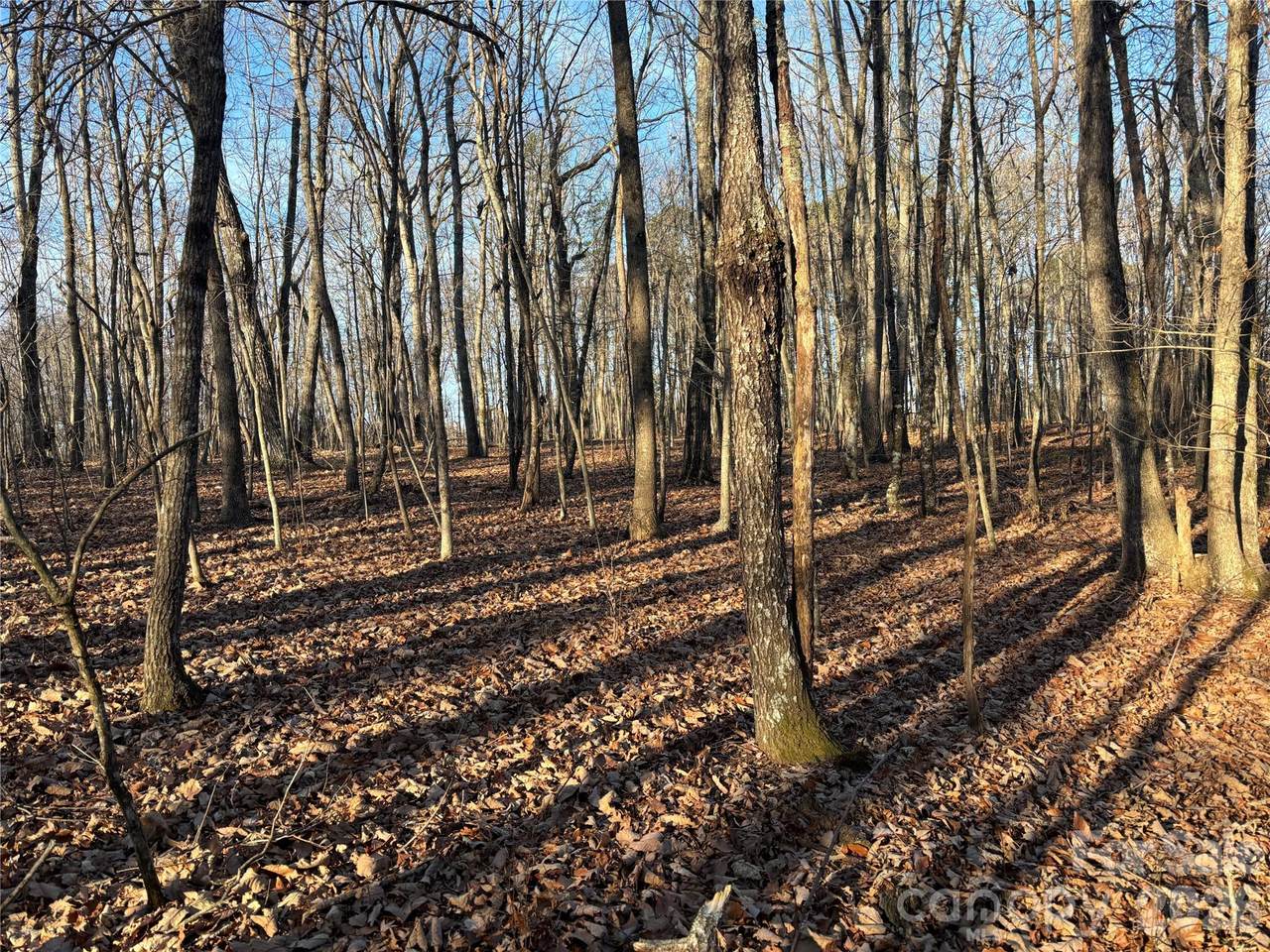 1.609 ac Millersville Road - Photo 1